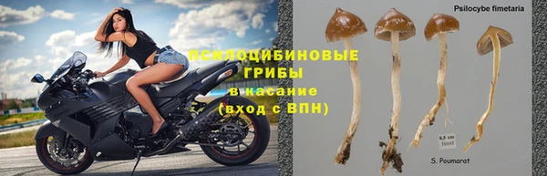 гашик Балабаново
